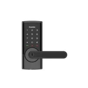 SMART LOCK DE PALANCA CON PIN+KEY DE LA