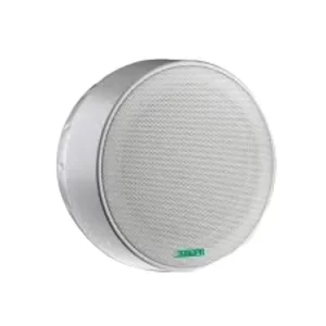 PARLANTE DE TECHO DE MONTAJE 6,5"  2,5W