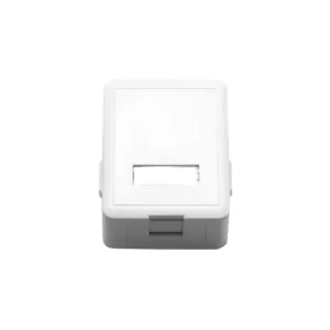 CAJA DE SOBREPONER CON 2 RANURAS